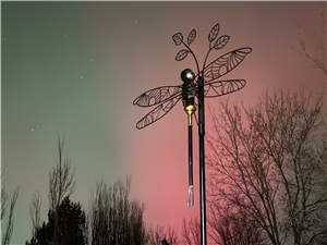 Submitted by Nikki Wirtz