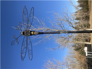 Submitted by Becky Trenker