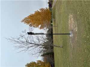 Submitted by Wes Memory