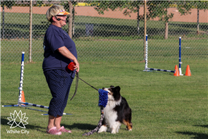 76815845-15f0-45ee-a931-c4499051f0d3.jpg