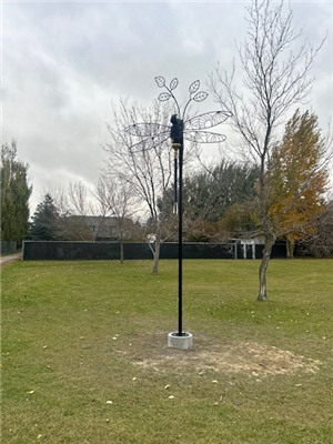 The Dragonfly Sculpture In It's New Home