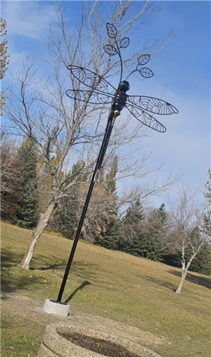 Submitted by Rachelle Roberts