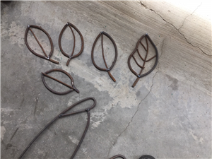 Close Up of the Leaves