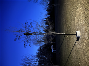 Submitted by Lynn Wirtz