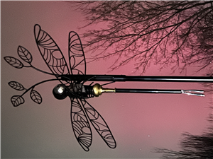 Submitted by Neil Wirtz